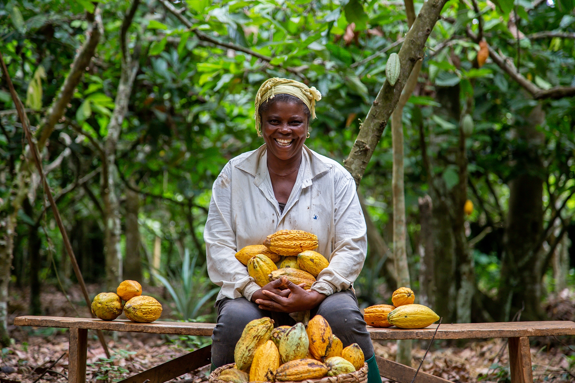 People meeting in a cocoa-growing community